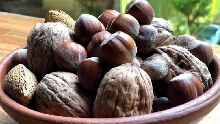 Se pone en marcha el ciclo de capacitaciones para productores de frutos secos de toda la provincia