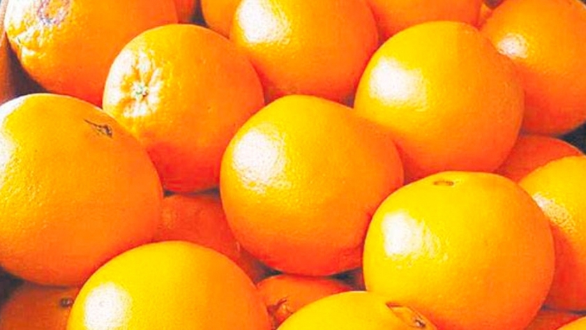 Productores citrícolas explicaron el por qué del precio de las naranjas