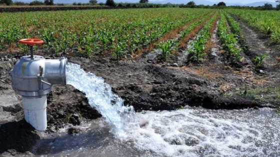 Avanzan las obras del Plan Argentina Irrigada en La Rioja, Neuquén y Buenos Aires