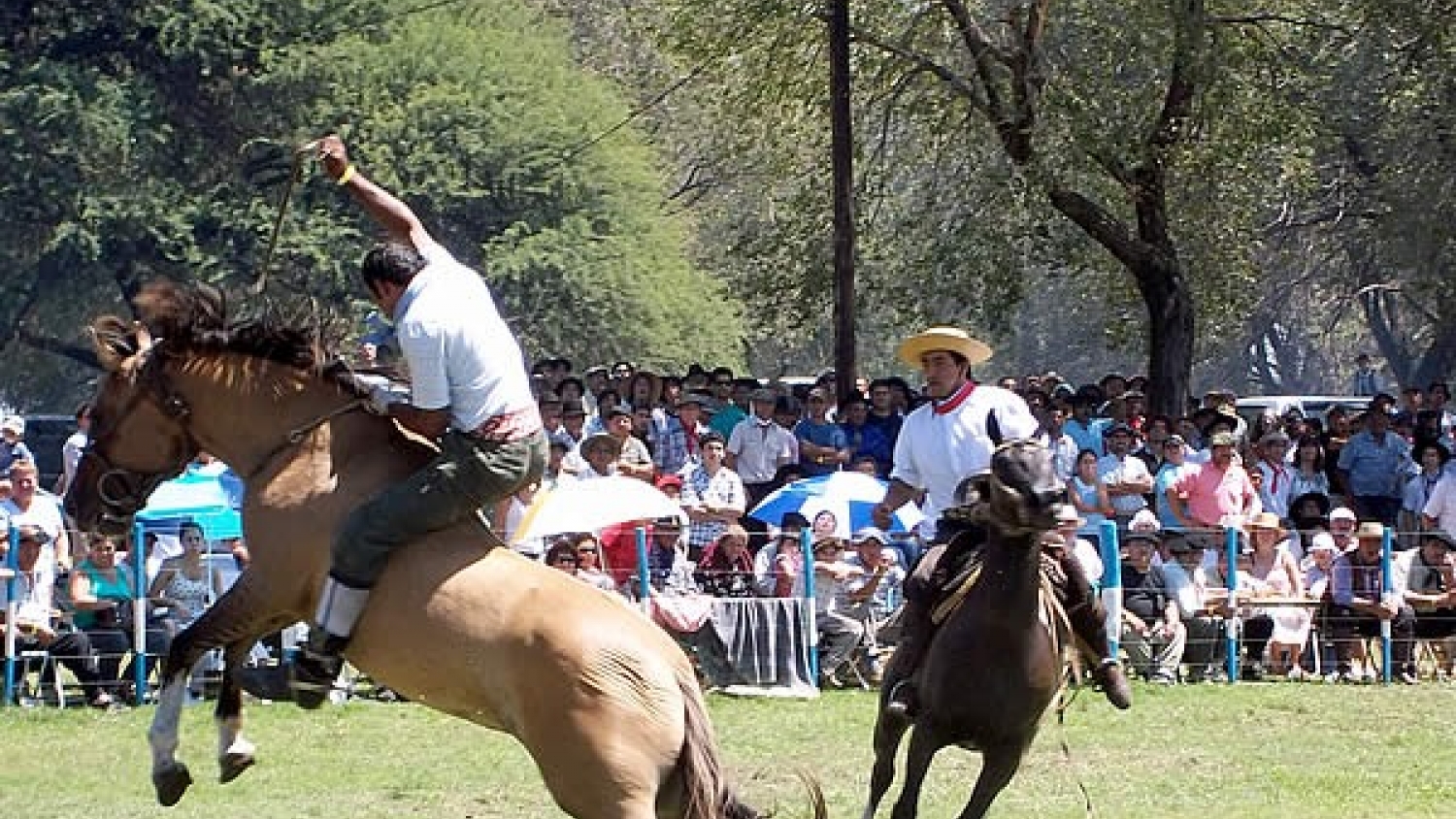 Fiesta Nacional de la Ganadería: Victorica confirmó fechas