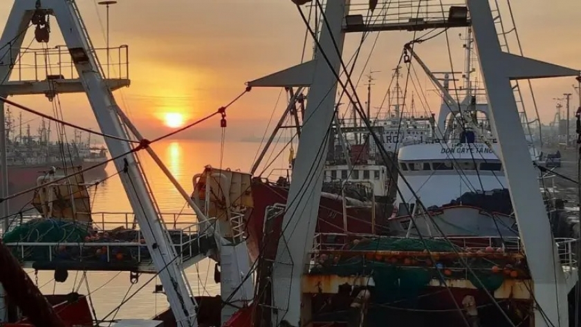 La pujanza de la industria pesquera argentina