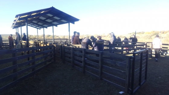 La Provincia brindó una capacitación sobre reproducción ovina en El Cuy