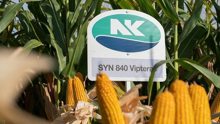 NK se acerca al productor con más tecnología en la nueva Expoagro digital