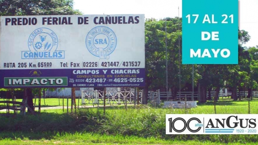 La exposición Angus de otoño ya tiene fecha y lugar