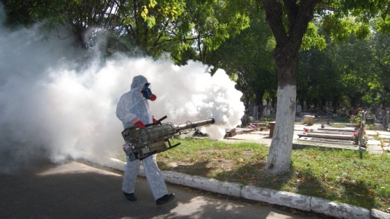 <Dengue: agrónomos recomiendan consultar profesionales para combatir los mosquitos