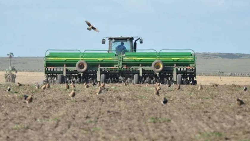 Avanza la siembra de trigo y se espera un aumento de la superficie cercano al 10 % en el centro y norte de Santa Fe