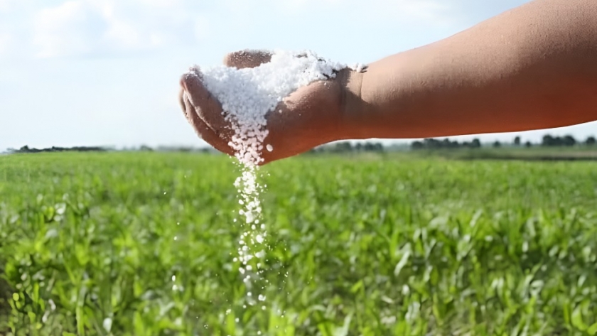 Estrategias de fertilización: ¿qué hacer frente a la próxima siembra de granos gruesos?