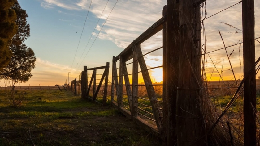 Productores deberán compartir información productiva para certificar que sus campos no han sido deforestados