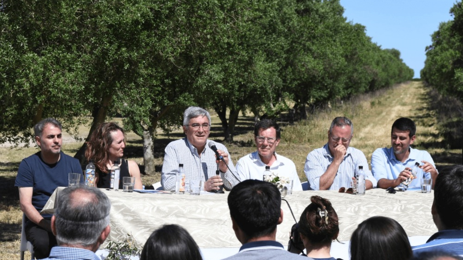 El sudoeste bonaerense lanza la Ruta del Olivo para integrar producción, turismo y valor agregado