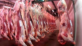 Agricultura interdictó más de 220 mil kilos de carne vacuna e inhabilitó la operación de 12 empresas exportadoras