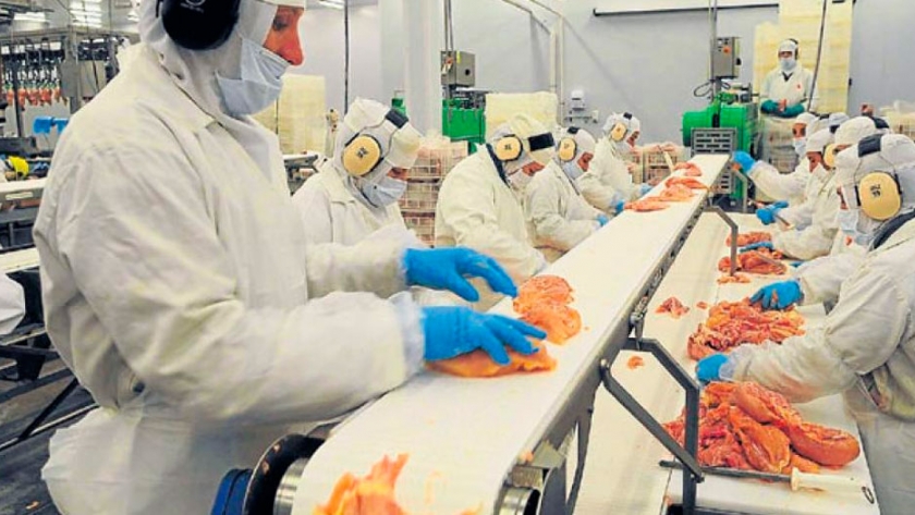 Consumo de carne aviar aumentó un 37 % en los últimos 10 años