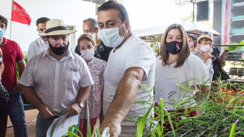 El Gobernador visitó la Biofábrica, recorrió la Feria y supervisó la producción de plantines destinados a la Producción 
