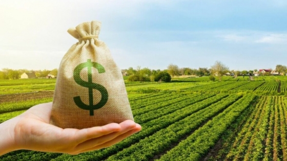 Expertos exigen reglas claras para la Agroindustria en la Expo Rural 2024