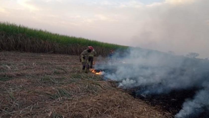 Bomberos de la Policía intervienen en principios de incendios y en quema de cañaverales