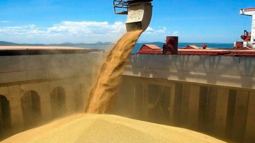El sector agroindustrial será un pilar fundamental para la recuperación de la Argentina