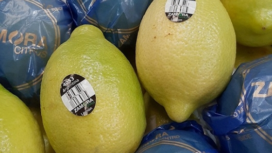 ¿Quién es Zamora Citrus? Una firma tucumana que fue pionera en la producción y exportación de limones orgánicos