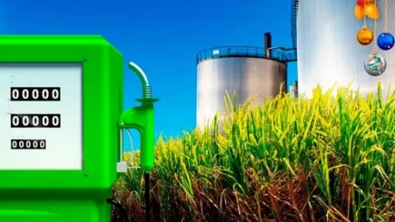 Impulsan subir el corte de biocombustibles y reavivan la disputa por la matriz energética