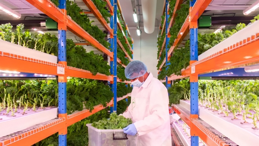 Generate Capital respalda a Grow Up Farms como líder en agricultura vertical sostenible