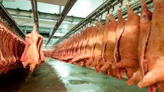 El Usda estima que en 2021 la producción de carne de cerdo en China se recuperará en un 9,5%