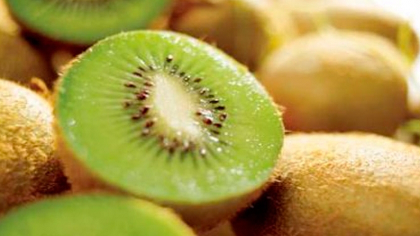 Chile comienza segunda etapa de temporada de kiwi para exportación