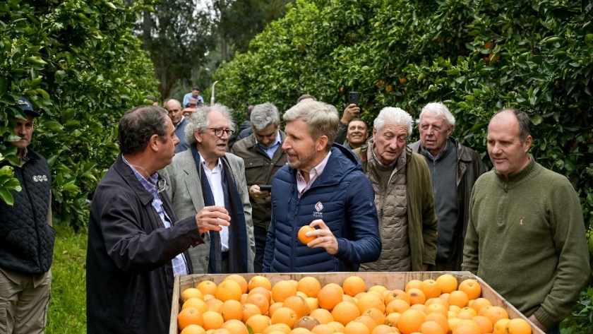 Frigerio destacó el potencial citrícola de Entre Ríos para exportar