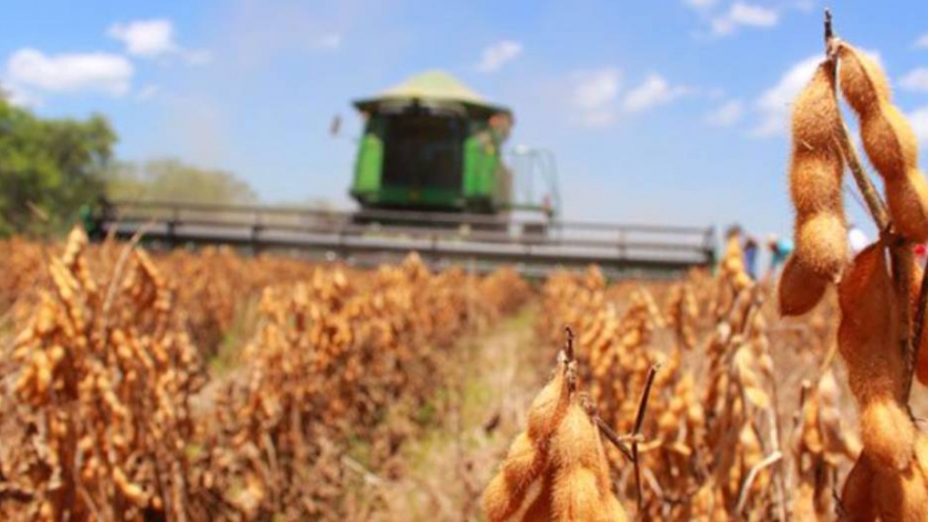Soja: el 45,8% fue para el Estado y solo el 0,34% al productor que alquila