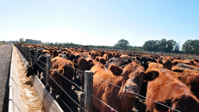 Diseño de un feedlot