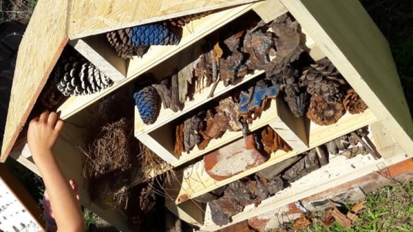 Refugio de Insectos para incrementar la Biodiversidad en las Huertas Urbanas