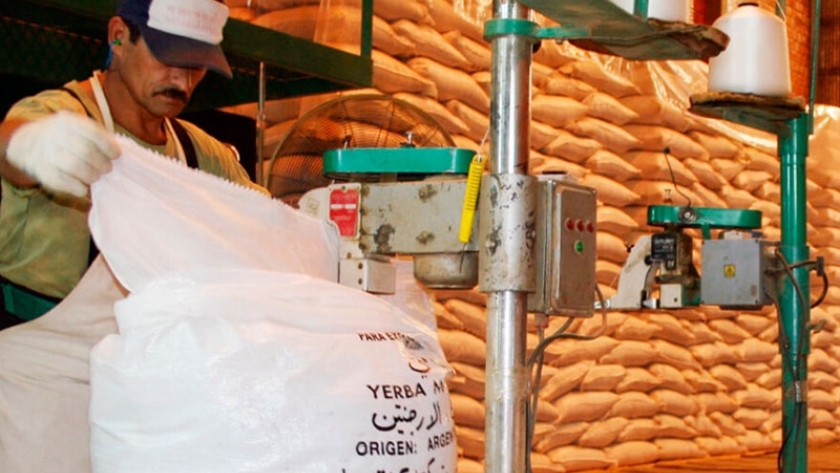 Misiones busca fortalecer el mercado de la yerba mate en la India