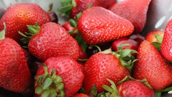 Frutillas Una Fruta Para Disfrutar Todo El Año En La Argentina