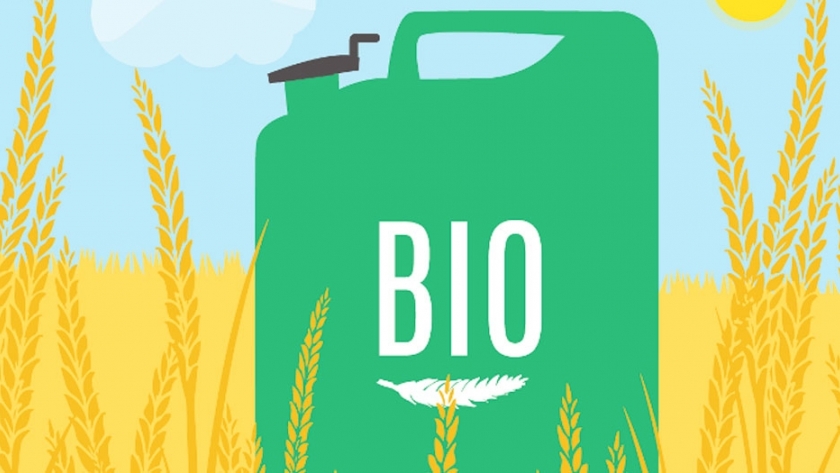 El biodiesel en busca de mercados para los excedentes