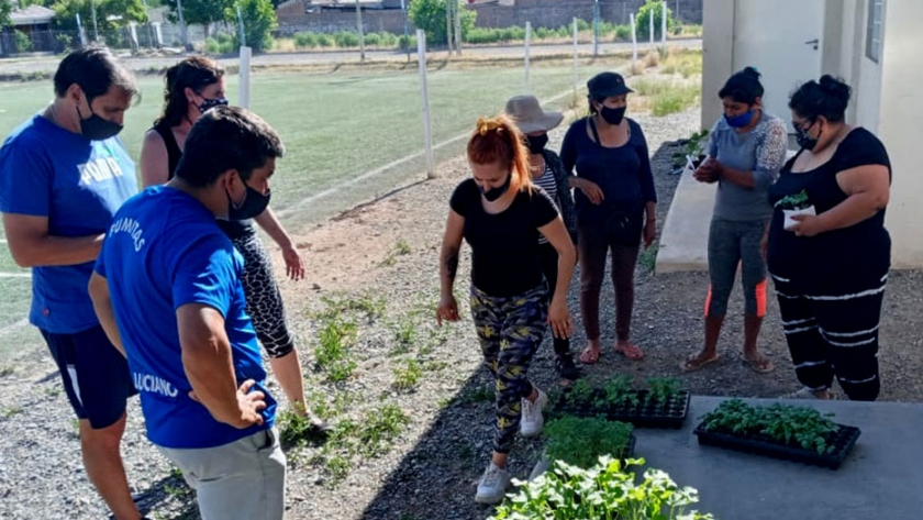 Educación, Producción e Industria avanzan en el fortalecimiento de la huerta pedagógica productiva