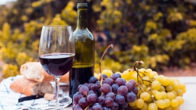 El Gobierno eliminó casi mil normas del sector vitivinícola y concentrará los controles solo en el vino final