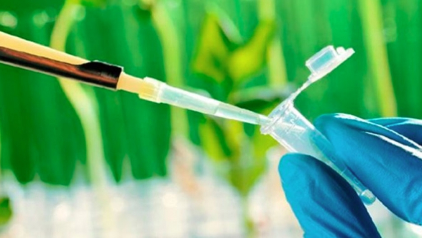 Biotecnología no solo es transgénesis, existen otras herramientas como solución para el productor