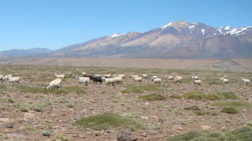 La Patagonia podría agregar 1 millón de hectáreas agrícolas bajo riego