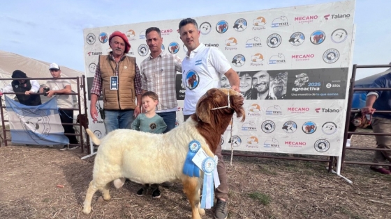 La raza Boer consolida su crecimiento y gana espacio en la ganadería argentina