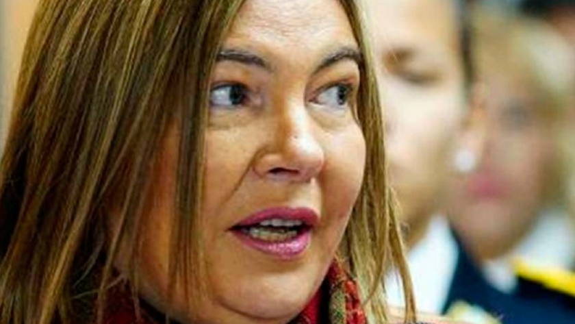 Bertone busca modificar un decreto que afecta la industria electrónica