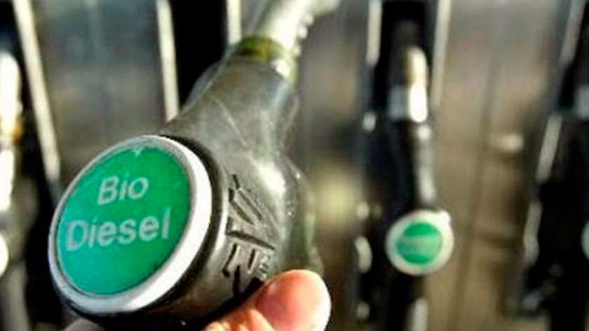 Bolivia apuesta al biodiesel para sustituir importaciones de combustible diesel