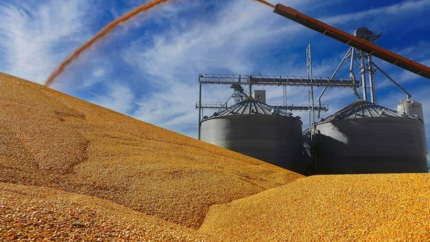 Cifra millonaria: se conoció cuánto va a recaudar el Gobierno con más retenciones al campo