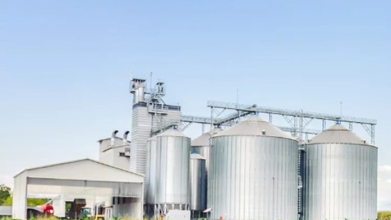 Informe WASDE revela aumento en las existencias de granos en EE.UU., contrario a las expectativas del mercado