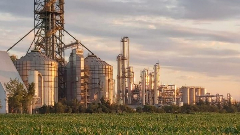 Aprueban la comercialización de las primeras levaduras genéticamente modificadas (GM)  para mejorar la producción de bioetanol en la Argentina