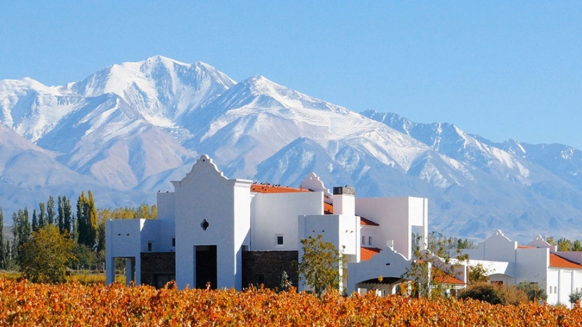 Ambrosía de Tupungato: la uva es el corazón de cada botella 