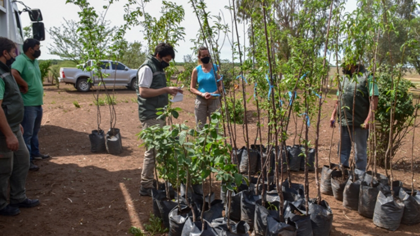 El Plan de Activación Productiva Frutihortícola llegó a más productores de la provincia