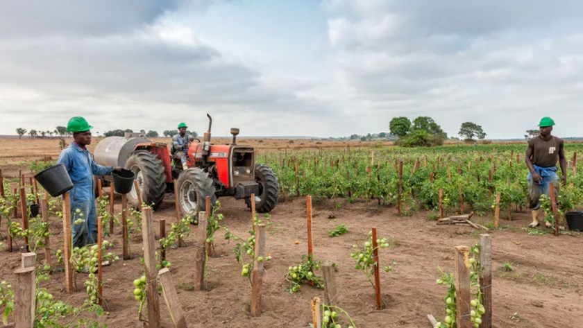 La mecanización agrícola puede reducir la carga de trabajo, aumentar la prosperidad y mejorar las dietas