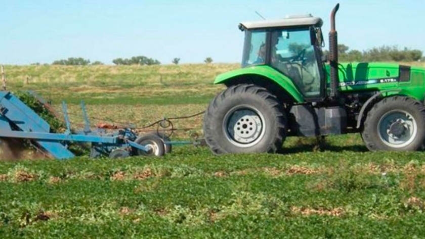 Córdoba superó el récord histórico de exportaciones de maní