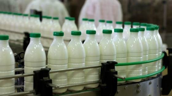 La lechería argentina crece 11% con precios récord en dólares y mayor consumo interno