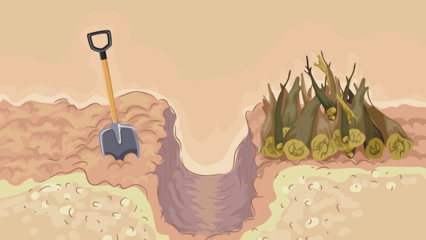 Hugelkultur, la técnica de cultivo alemana para tierras frías