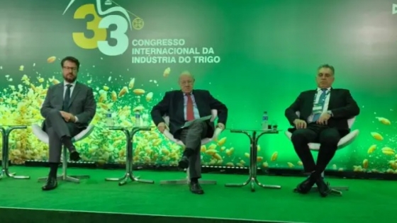 Trigo argentino: Brasil podría comprar un volumen récord