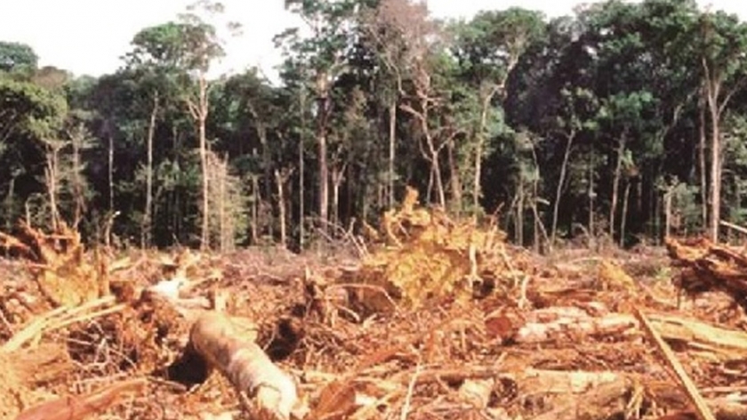 La ABT y empresarios soyeros firman convenio para "evitar deforestación ilegal"