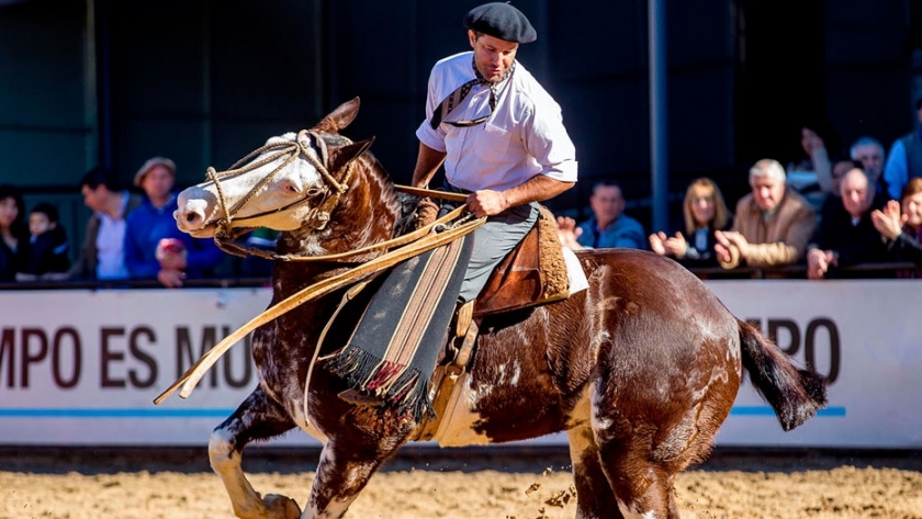 La Pampa: la 93º Expo Rural finalizó con éxito